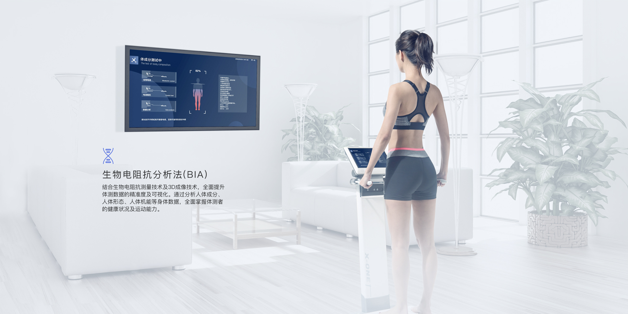 健身房体测系统